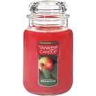 Yankee Candle Large Jar Candle - Macintosh