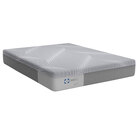 Sealy Medina Firm Gel Memory Foam King Bed in a Box