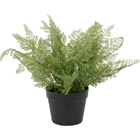 UMA Home Decor Green Faux Foliage Fern Artificial Plant with Black Round Pot, 15" x 19" x 15"