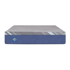 Sealy Twin Medium Mattress