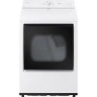 LG 7.3 Cu. Ft. Rear Control Electric Dryer with AI Sensing & ThinQ®