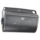 Definitive Technology Outdoor All-Weather Loudspeaker Single - Black