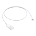 Apple Lightning to USB Cable (0.5 m)