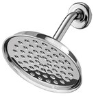 Waterpik RainFall Single Spray Setting Shower Head