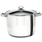 Ecolution 8-Qt Pure Intentions Stainless Steel Stock Pot with Glass Lid