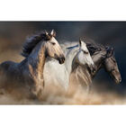 Classy Living Temp Glass with Foil - Wild Stallion Trio