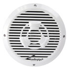 Audiopipe 8” Coaxial Marine Speaker