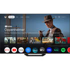 Element Electronics 100″ Mini-LED QLED 4K UHD HDR 144Hz Smart Google TV