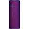 Ultraviolet Purple